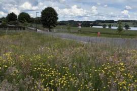 Building Plot For Sale