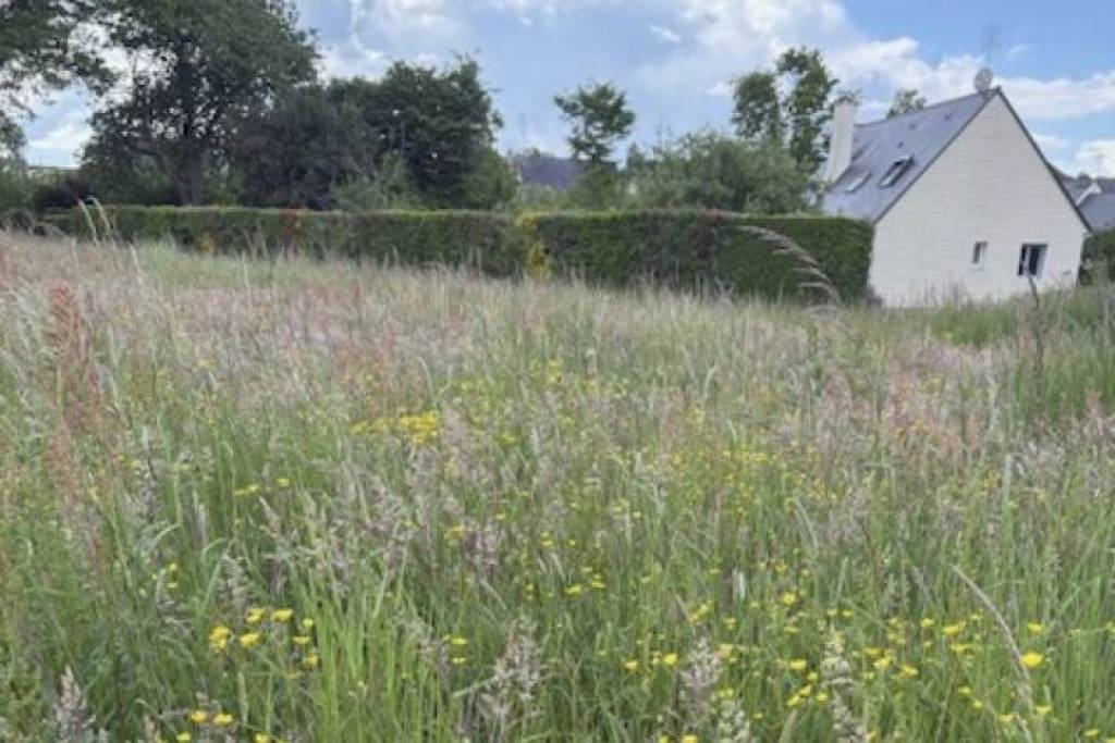 Building Plot For Sale