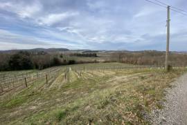 Exceptional Property with Land