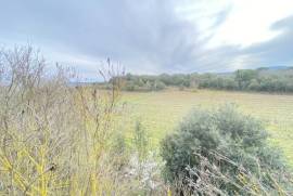Exceptional Property with Land