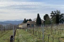 Exceptional Property with Land