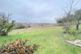 Exceptional Property with Land
