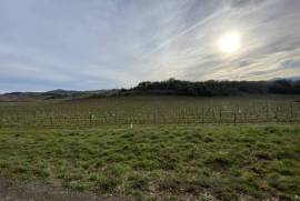 Exceptional Property with Land