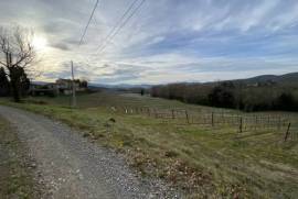 Exceptional Property with Land