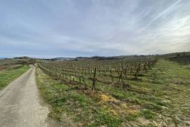 Exceptional Property with Land