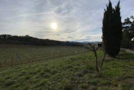 Exceptional Property with Land