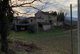 Exceptional Property with Land