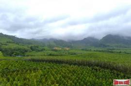 Investment 7-room resort business for sale in Khuekkhak, Phangnga