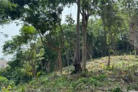 Exclusive Land Plot Near Surin Beach with Sea View Potential
