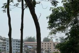 Exclusive Land Plot Near Surin Beach with Sea View Potential