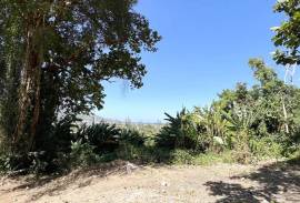 Sea and Mountain View 2,497 Sqm Land Plots For Sale in Estate, Just 5 mins drive to Kamala Beach