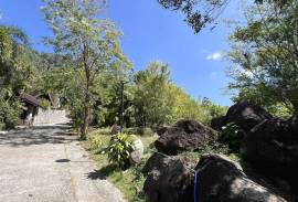 Sea and Mountain View 2,497 Sqm Land Plots For Sale in Estate, Just 5 mins drive to Kamala Beach