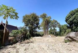 Sea and Mountain View 2,497 Sqm Land Plots For Sale in Estate, Just 5 mins drive to Kamala Beach