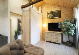 Property with gite, swimming pool, 11ha of land with etang