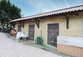 Property with gite, swimming pool, 11ha of land with etang