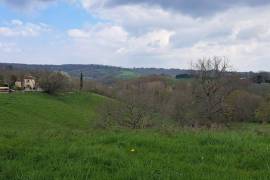 Property with gite, swimming pool, 11ha of land with etang