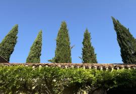Magnificent manor with origins in the 15th century, with its farm and 30ha