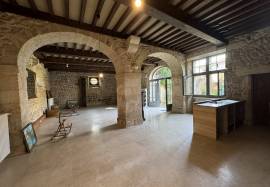 Magnificent manor with origins in the 15th century, with its farm and 30ha