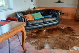 Superb country park with cottage, gite & pool