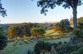 Superb country park with cottage, gite & pool