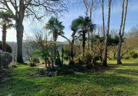 Superb country park with cottage, gite & pool