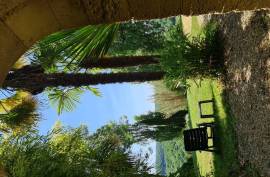 Superb country park with cottage, gite & pool