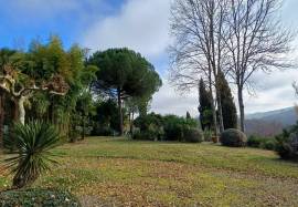 Superb country park with cottage, gite & pool