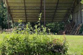 Magnificent 19 Ha Property: Former Farm with Two Homes and Pyrenees Views