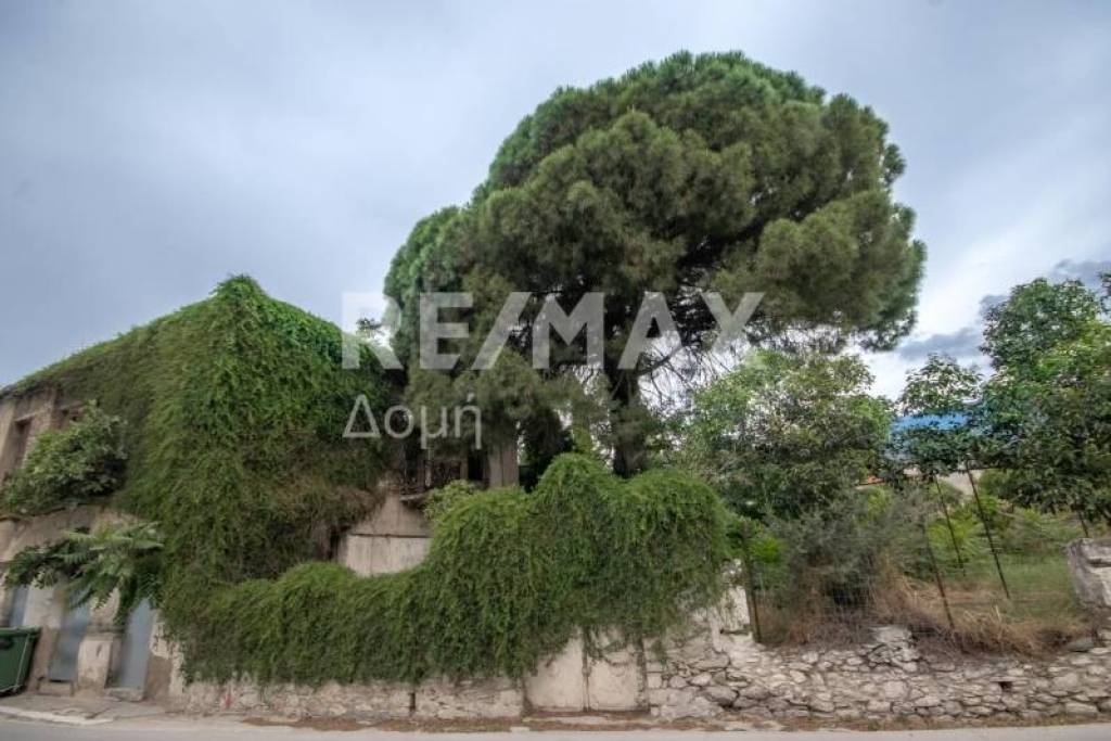 House 528 sq.m for sale
