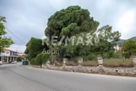 Plot 980 sq.m for sale