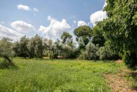 Plot 1300 sq.m for sale