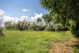 Plot 1300 sq.m for sale