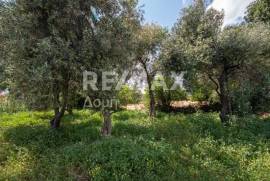 Plot 1300 sq.m for sale