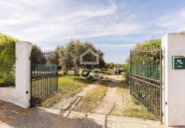 Farmhouse Mora