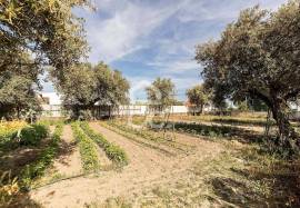 Farmhouse Mora