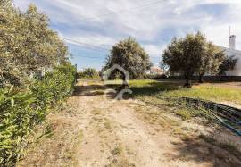 Farmhouse Mora