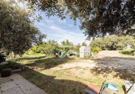 Farmhouse Mora
