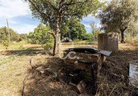 Farmhouse Mora