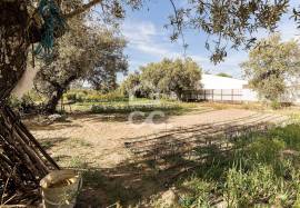 Farmhouse Mora