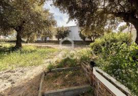 Farmhouse Mora