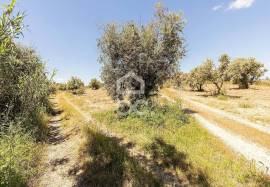 Farmhouse Alandroal Ferreira de Capelins