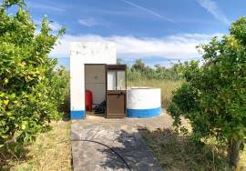 Farm in Redondo T4 , Pool and 3.5 ha