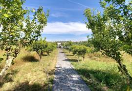Farm in Redondo T4 , Pool and 3.5 ha