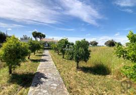 Farm in Redondo T4 , Pool and 3.5 ha