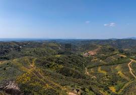 Your Algarve Vision: A Hilltop Ruin Awaiting Transformation Your Algarve Vision: A Hilltop Ruin Awaiting Transformation