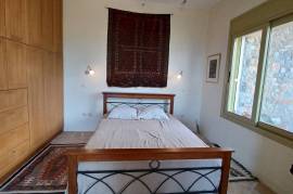 Excellent Stone Villa & Olive Farm For sale in Neapolis Lakonia