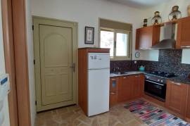 Excellent Stone Villa & Olive Farm For sale in Neapolis Lakonia