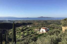 Excellent Stone Villa & Olive Farm For sale in Neapolis Lakonia