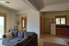 Excellent Stone Villa & Olive Farm For sale in Neapolis Lakonia