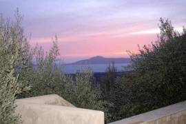 Excellent Stone Villa & Olive Farm For sale in Neapolis Lakonia